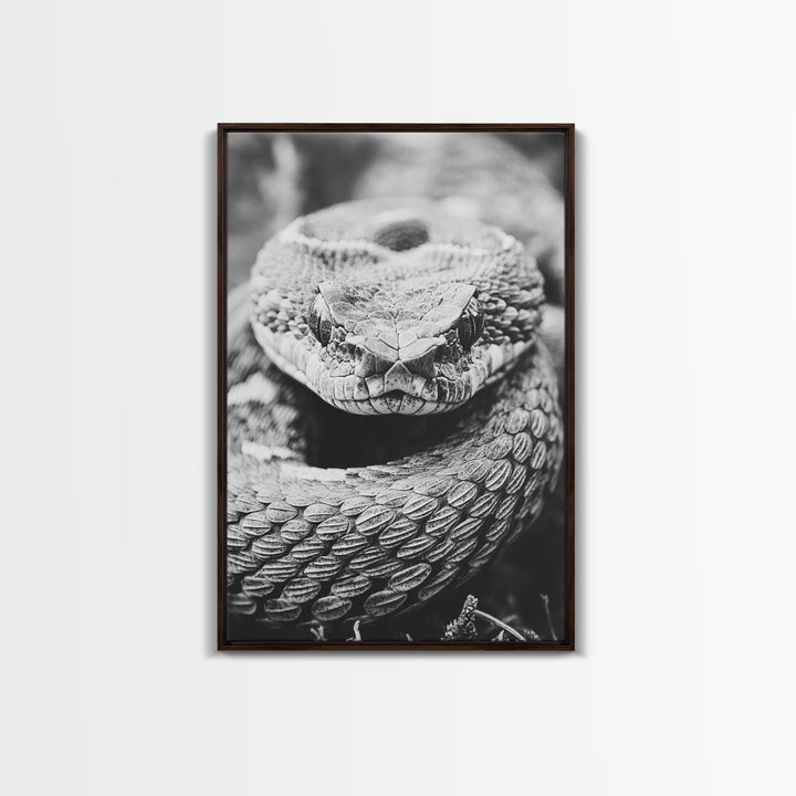 Rattlesnake Face, Coiled Closeup, Venomous Gaze, Canvas Print, Macro Wildlife Wall Art, Reptile Decor, Intense Black White Photography