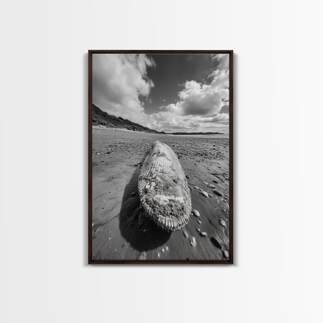Whale Bone, Coastal Find, Ocean Relic, Framed Canvas Print, Seaside Wall Art, Beach House Decor, Nautical Minimalist Photography