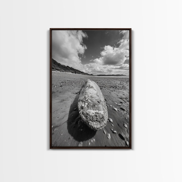 Whale Bone, Coastal Find, Ocean Relic, Framed Canvas Print, Seaside Wall Art, Beach House Decor, Nautical Minimalist Photography