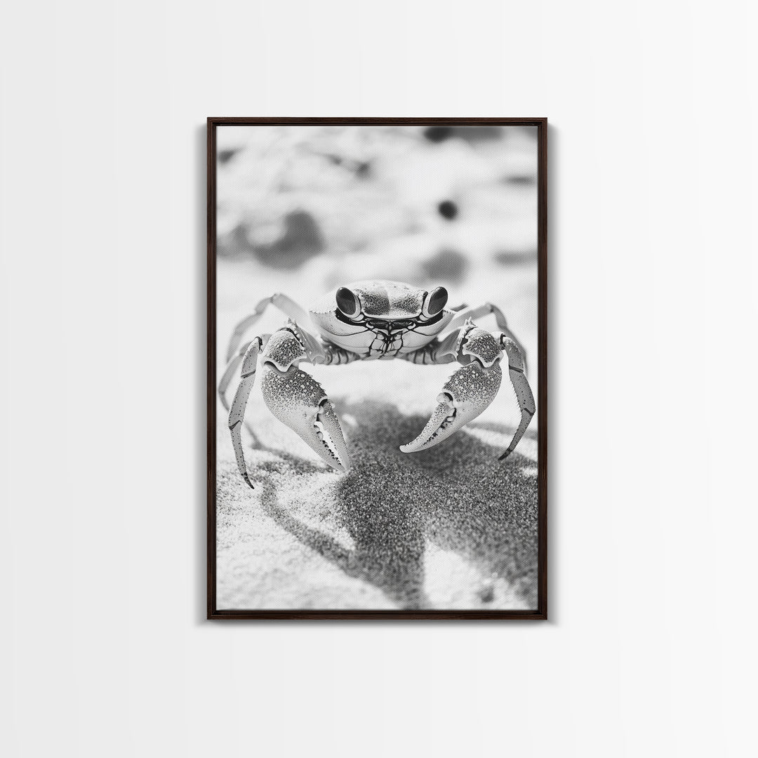 Sand Crab, Beach Macro, Ocean Critter Art, Framed Canvas Print, Coastal Bathroom Decor, Beach House Wall Art, Nature Close-Up