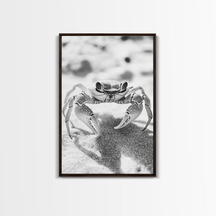 Sand Crab, Beach Macro, Ocean Critter Art, Framed Canvas Print, Coastal Bathroom Decor, Beach House Wall Art, Nature Close-Up