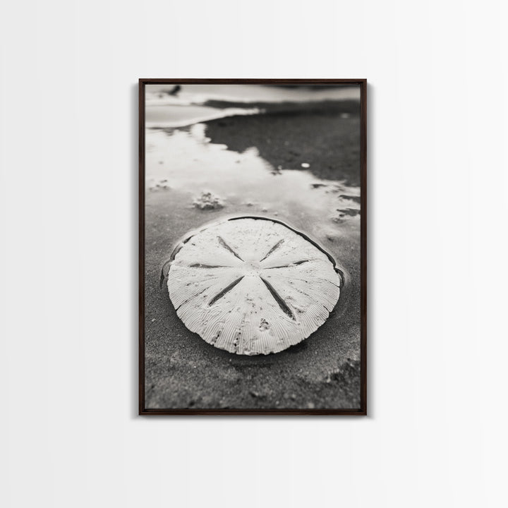 Sand Dollar, Coastal Shore, Ocean Shell Print, Canvas Print, Beachcomber Wall Art, Seaside Bathroom Decor, Nautical Nature Photography