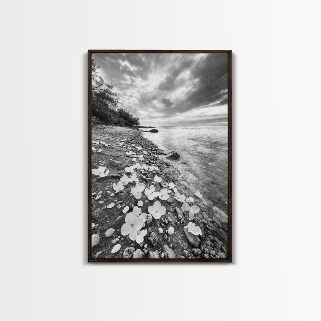 Flower Shore, Peaceful Beach, Moody Sky, Petal Scape, Framed Canvas Print, romantic beach art, bedroom decor, black and white floral print