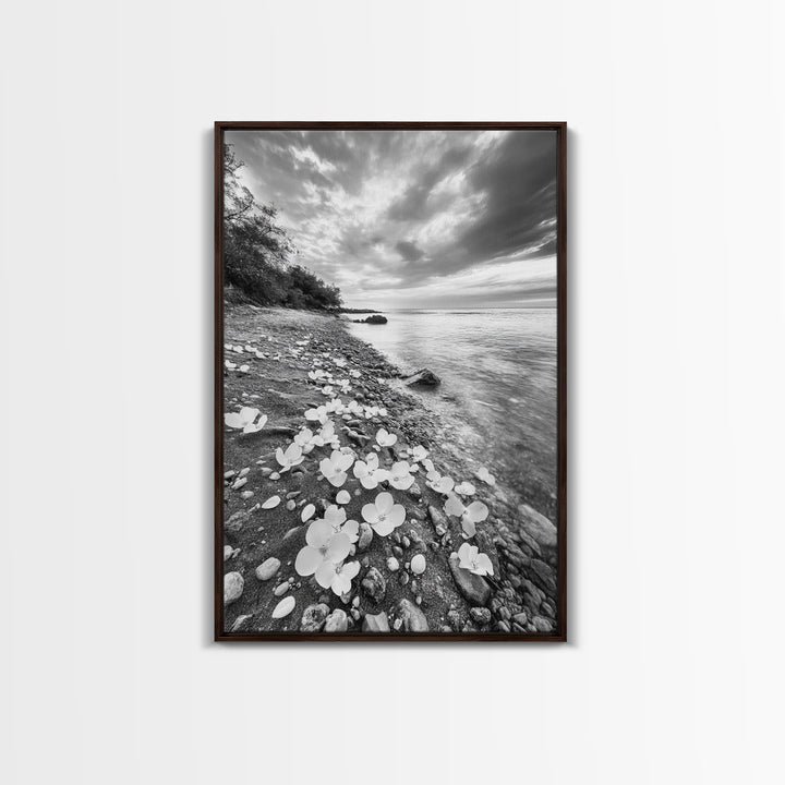 Flower Shore, Peaceful Beach, Moody Sky, Petal Scape, Framed Canvas Print, romantic beach art, bedroom decor, black and white floral print