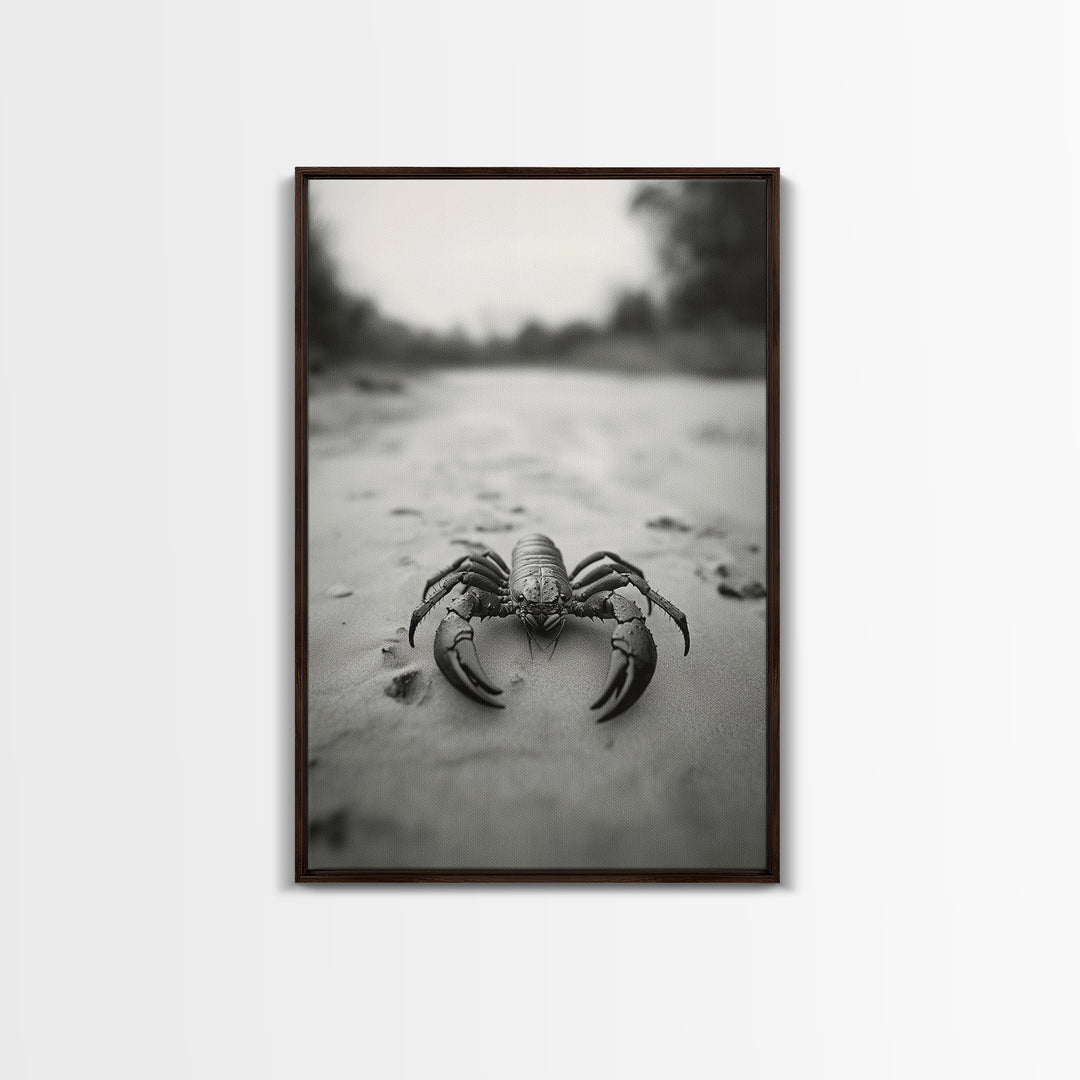 Desert Scorpion, Moody Wildlife, Sandy Ground, Focused Predator, Framed Canvas Print, edgy boho decor, masculine wall art, nature closeup