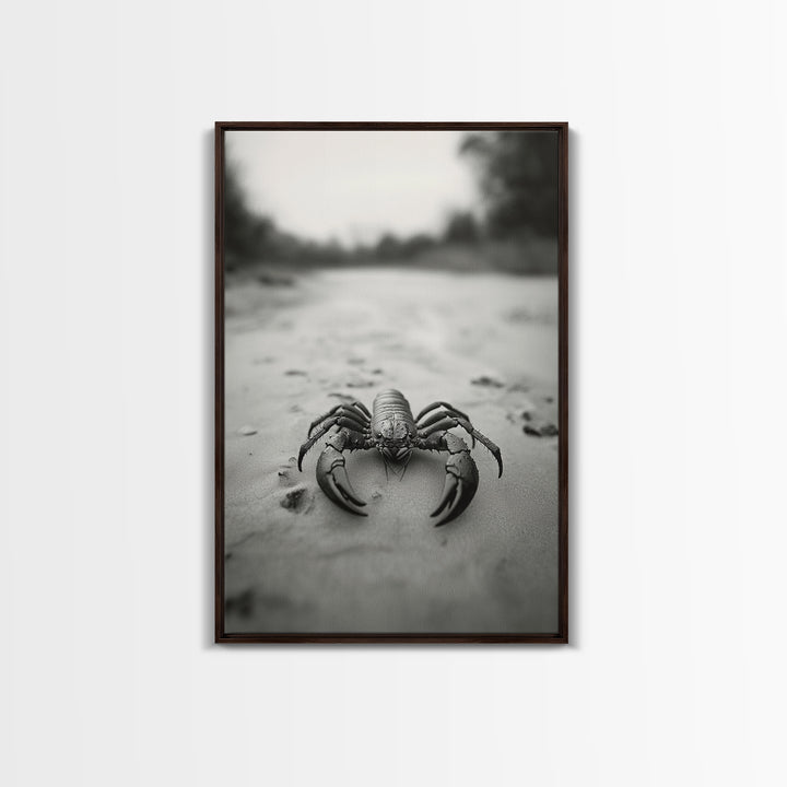 Desert Scorpion, Moody Wildlife, Sandy Ground, Focused Predator, Framed Canvas Print, edgy boho decor, masculine wall art, nature closeup