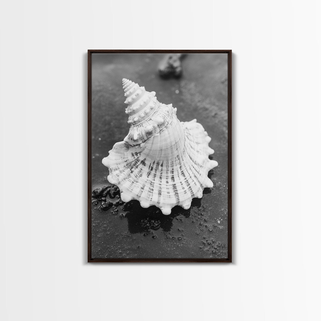 Spiral Shell, Beach Texture, Nature Closeup, Sea Whisper Framed Canvas Print, minimalist beach wall art, boho coastal kitchen decor