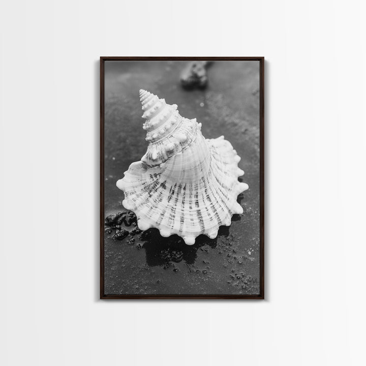 Spiral Shell, Beach Texture, Nature Closeup, Sea Whisper Framed Canvas Print, minimalist beach wall art, boho coastal kitchen decor