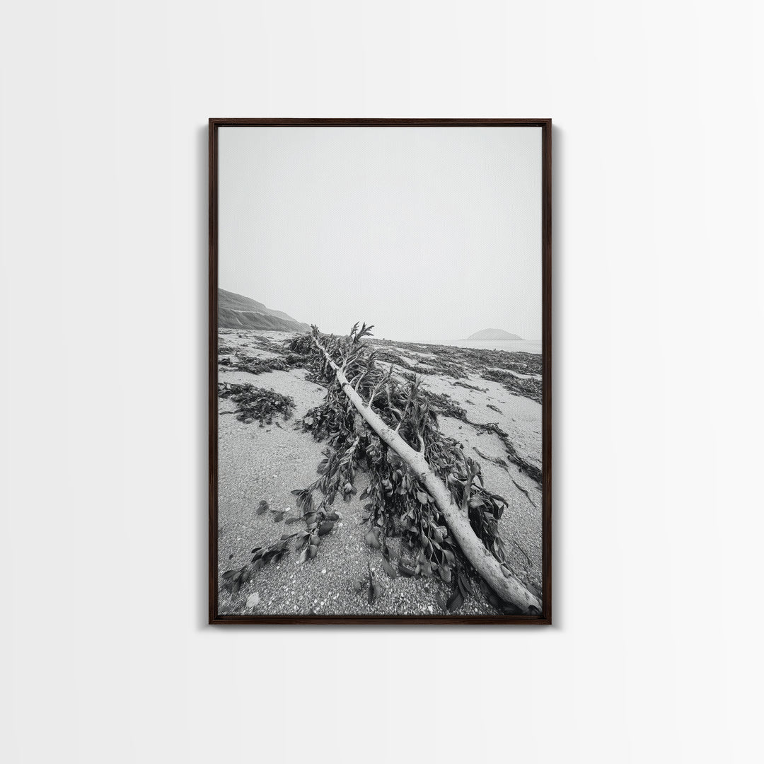 Seaweed Shoreline, Drifted Beauty, Coastal Debris, Tide Echo Framed Canvas Print, ocean nature wall art, minimalist beach decor