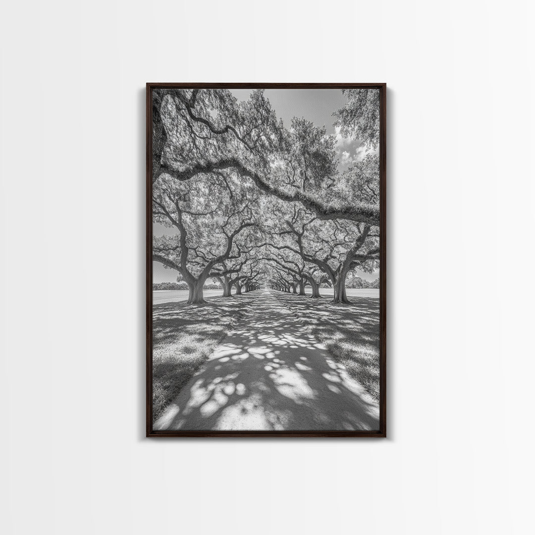 Oak Tree Tunnel, Southern Charm, Shaded Pathway, Timeless Trees Framed Canvas Print, farmhouse wall decor, hallway landscape art