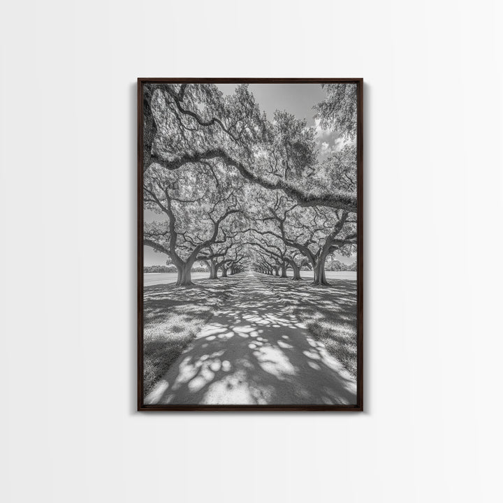 Oak Tree Tunnel, Southern Charm, Shaded Pathway, Timeless Trees Framed Canvas Print, farmhouse wall decor, hallway landscape art