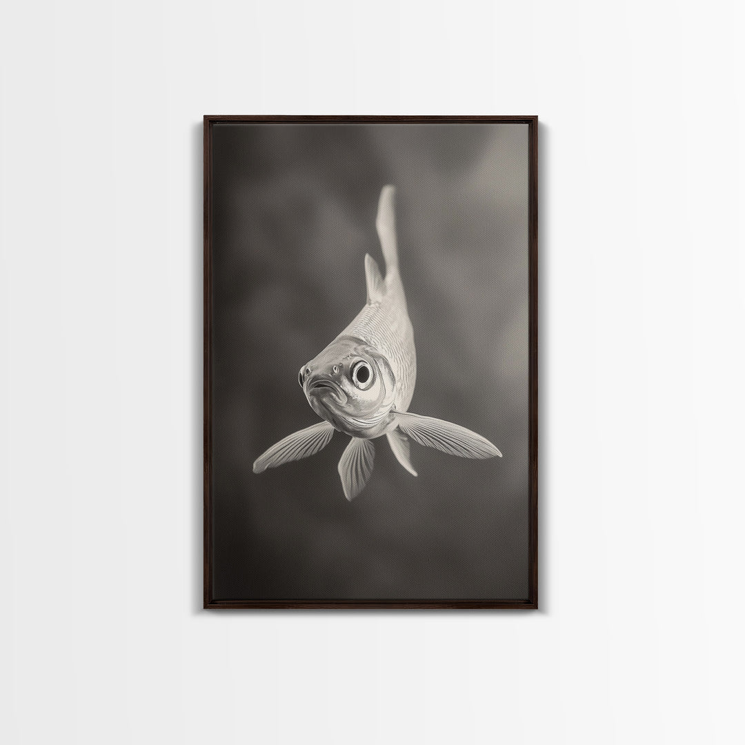 Curious Fish, Underwater Focus, Moody Marine Life, Framed Canvas Print, Bathroom Wall Art, Black and White Ocean Wildlife Decor