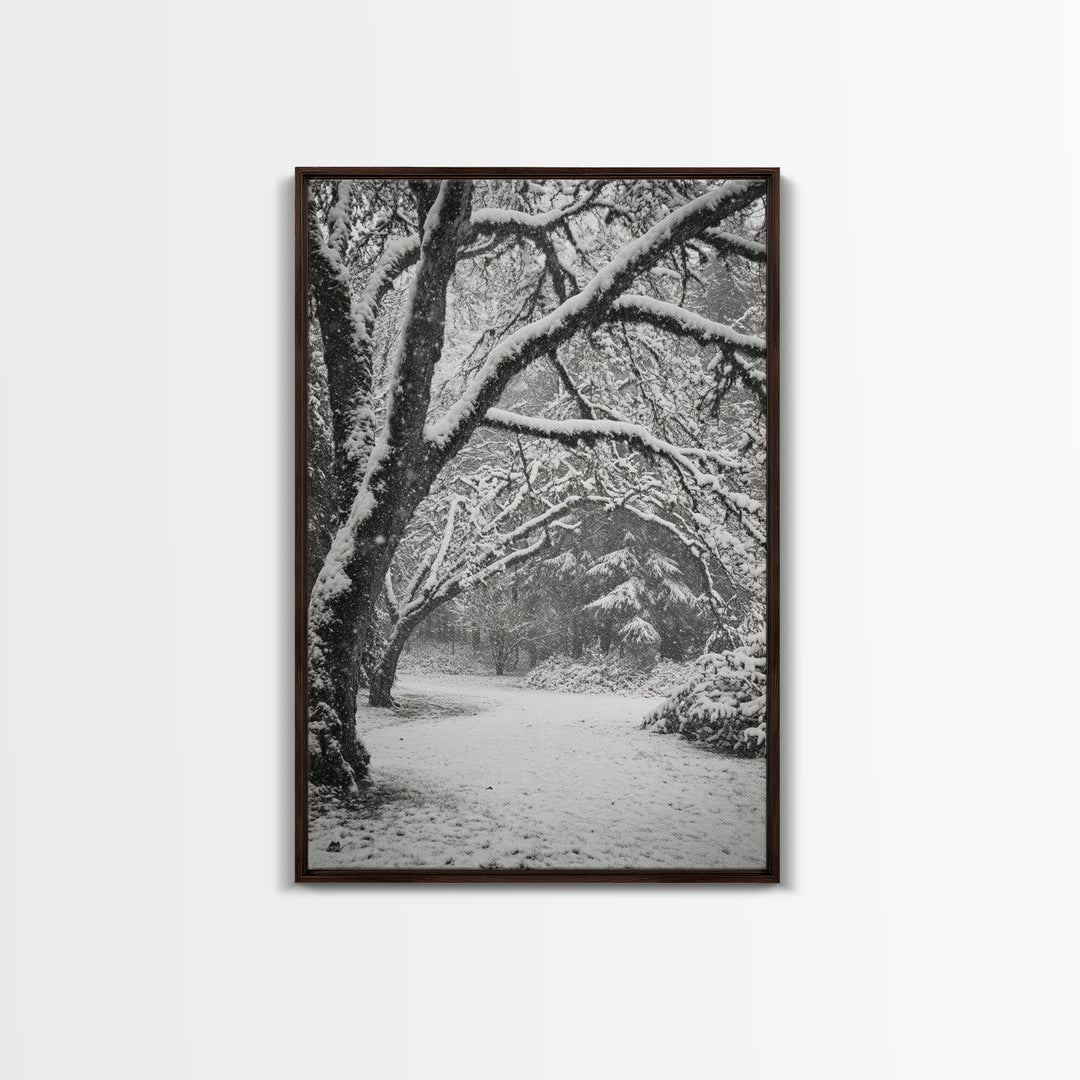 Snowfall Trees, Winter Forest, Nature Pathway, Canvas Print, Holiday Season Decor, Cozy Living Room or Cabin Wall Art