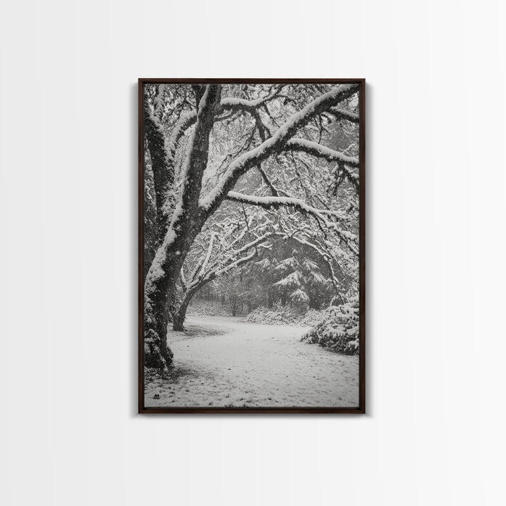 Snowfall Trees, Winter Forest, Nature Pathway, Canvas Print, Holiday Season Decor, Cozy Living Room or Cabin Wall Art