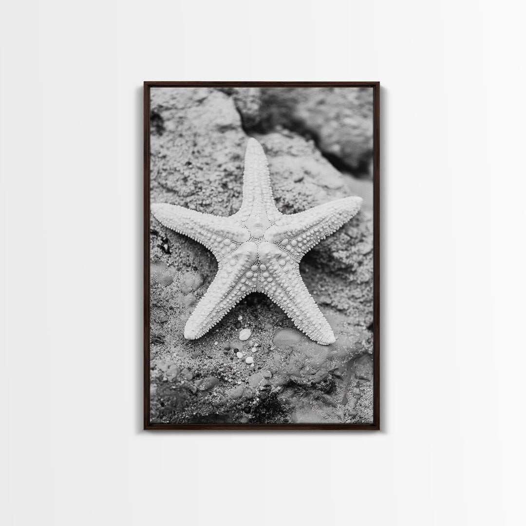 Starfish Closeup, Coastal Shell, Beach Texture, Framed Canvas Print, Bathroom or Ocean Nursery Decor, Minimal Beach Art