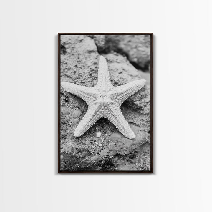 Starfish Closeup, Coastal Shell, Beach Texture, Framed Canvas Print, Bathroom or Ocean Nursery Decor, Minimal Beach Art