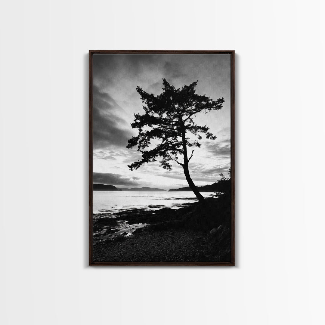 Coastal Tree, Pacific Northwest, Serene Landscape, Monochrome Nature Scene, Framed Canvas Print, Entryway Art, Rustic Cabin Wall Decor