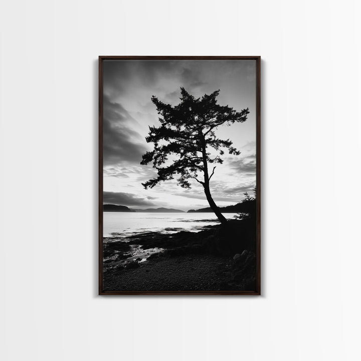 Coastal Tree, Pacific Northwest, Serene Landscape, Monochrome Nature Scene, Framed Canvas Print, Entryway Art, Rustic Cabin Wall Decor