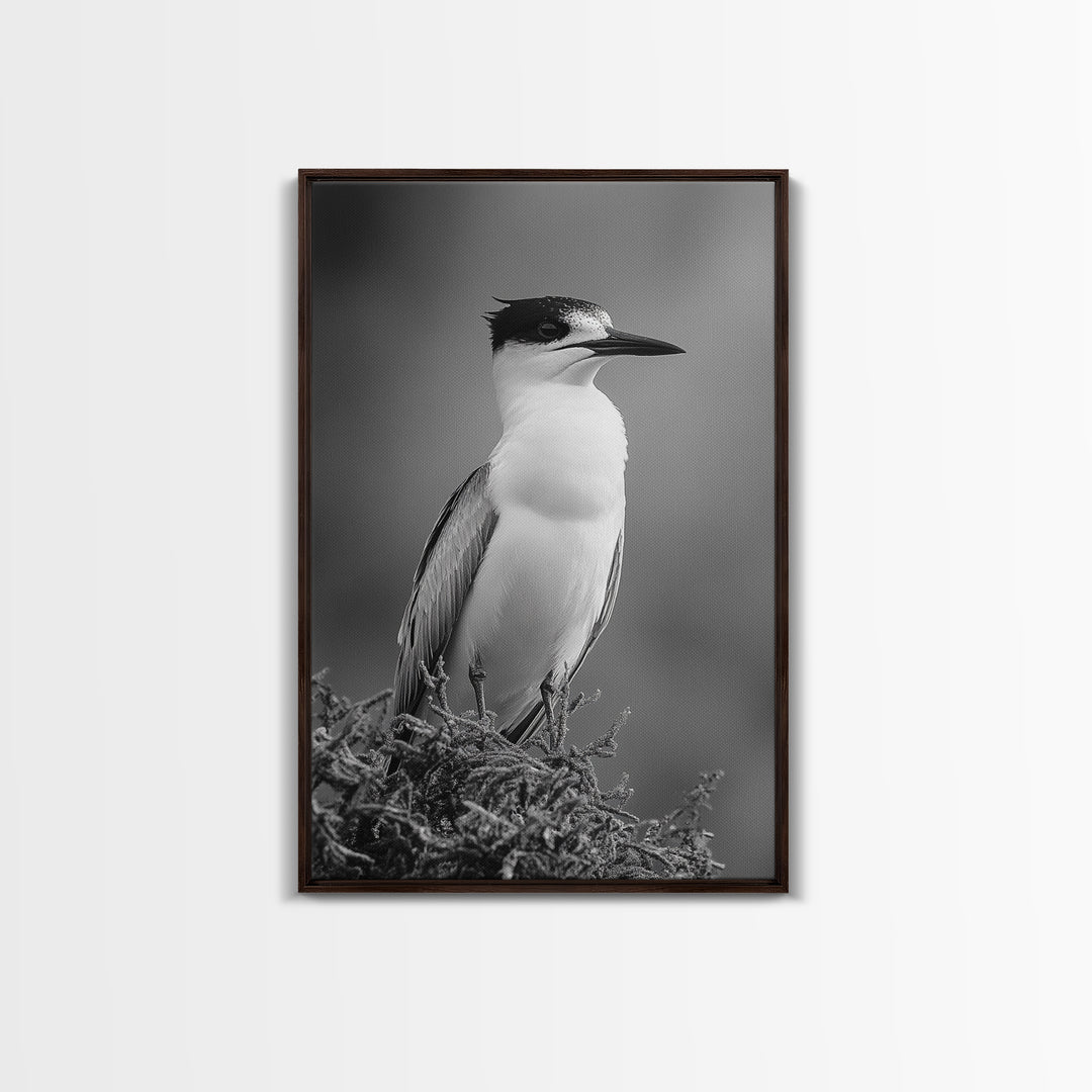 Coastal Bird Portrait, Black White Art, Nature Print, Minimalist Style, Living Room Wall Decor, Framed Canvas Print, Beach House Art