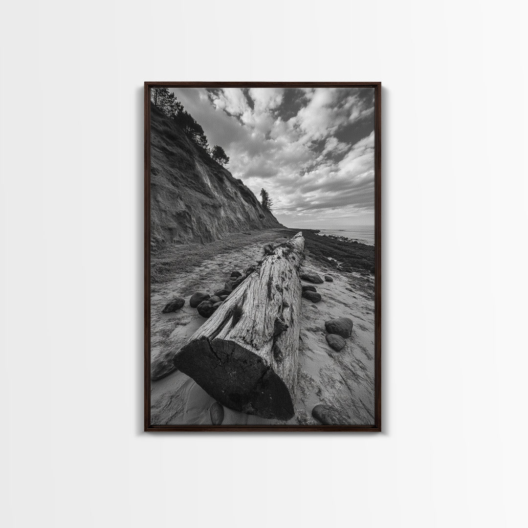Driftwood Coastal Trail, Cliffside Path Nature Art, Rustic Cabin Style, Black White Photography, Framed Canvas Print, Hallway Wall Decor
