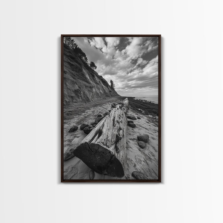 Driftwood Coastal Trail, Cliffside Path Nature Art, Rustic Cabin Style, Black White Photography, Framed Canvas Print, Hallway Wall Decor