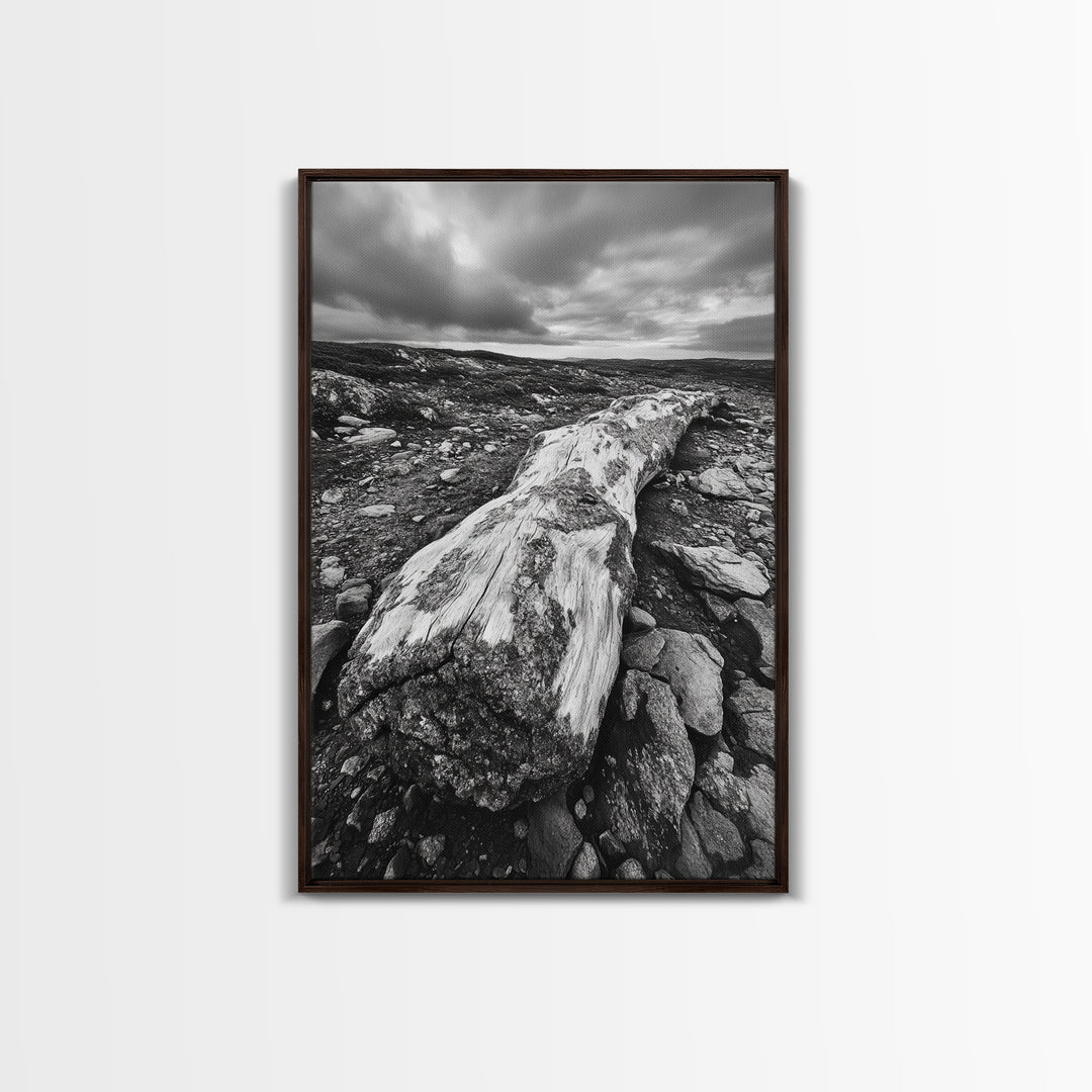 Rocky Terrain Driftwood, Weathered Wood Scene, Outdoor Adventure Art, Modern Rustic Decor, Framed Canvas Print, Earthy Tones Photography