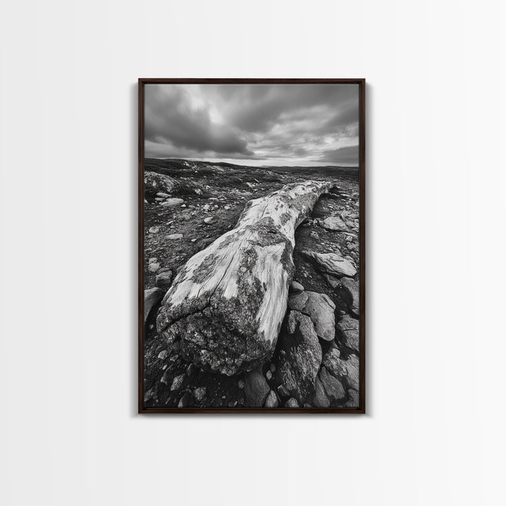 Rocky Terrain Driftwood, Weathered Wood Scene, Outdoor Adventure Art, Modern Rustic Decor, Framed Canvas Print, Earthy Tones Photography