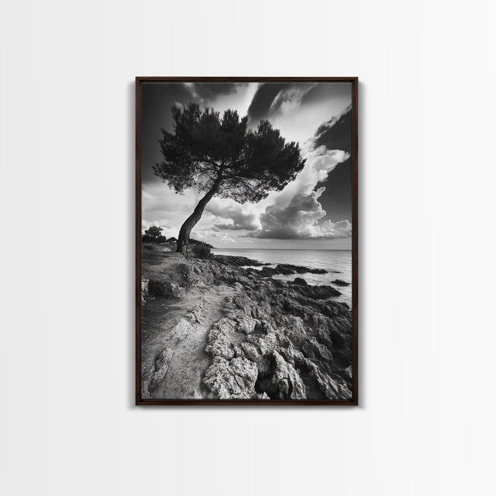 Wind Bent Tree, Coastal Cliff, Solitary Beauty, Canvas Print, Nature Photography Wall Art, Minimalist Earthy Decor, Moody Landscape