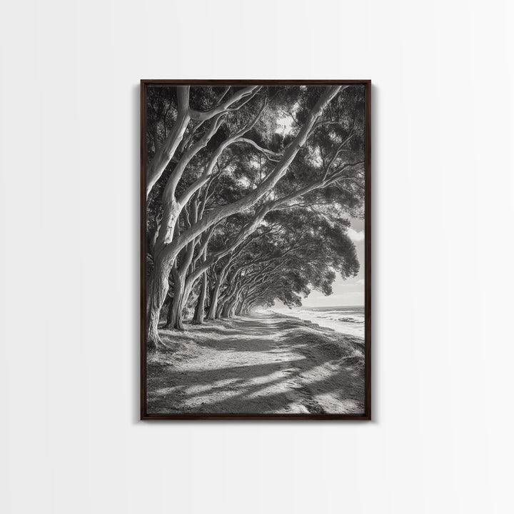 Coastal Tree Path, Nature Shadows, Ocean Breeze, Autumn Light, Framed Canvas Print, Living Room Wall Art, Moody Landscape Photography