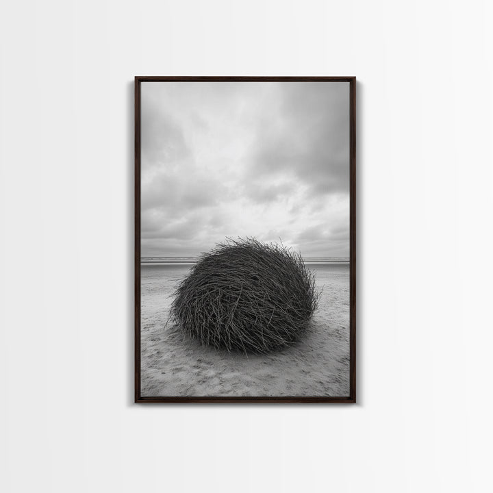 Windswept Beach Nest, Natural Sculpture, Driftwood Ball, Solitude Scene, Canvas Print, Minimalist Wall Art, Neutral Bedroom Decor