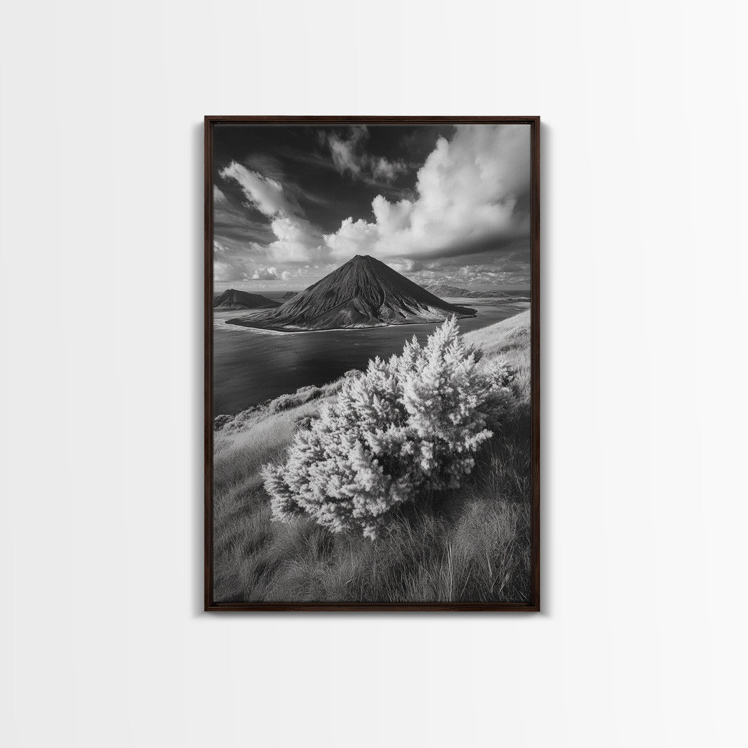 Majestic Volcano, Wild Grass, Black and White, Framed Canvas Print, Nature Photography, Office Decor, Moody Art, Rustic Wall Art