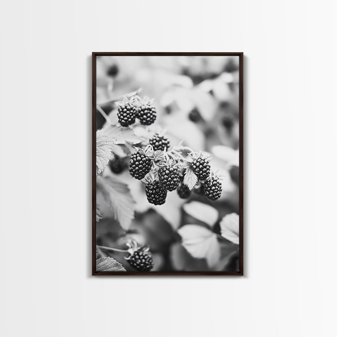 Blackberries in Bloom, Ripe Fruit Closeup, Garden Harvest, Natural Beauty, Framed Canvas Print, Farmhouse Kitchen Art, Fall Decor