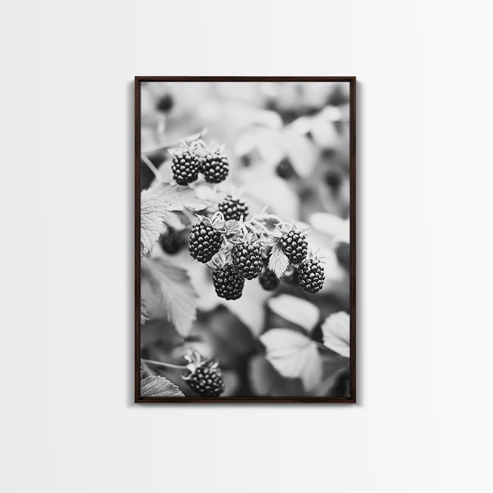 Blackberries in Bloom, Ripe Fruit Closeup, Garden Harvest, Natural Beauty, Framed Canvas Print, Farmhouse Kitchen Art, Fall Decor
