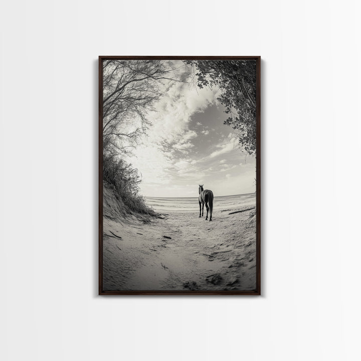 Horse on Shore, Ocean Path Scene, Wild Beauty, Serene Escape, Framed Canvas Print, Boho Wall Art, Bedroom or Entryway Decor