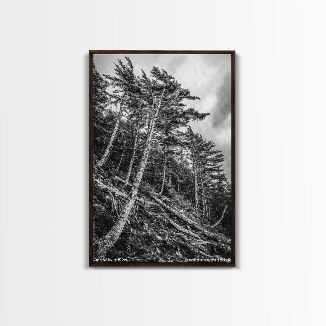 Windy Pines, Forest Landscape, Nature Photography, Framed Canvas Print, Rustic Wall Art, Cabin Decor, Minimalist Art, Fall Home Style