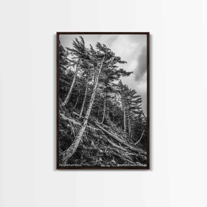 Windy Pines, Forest Landscape, Nature Photography, Framed Canvas Print, Rustic Wall Art, Cabin Decor, Minimalist Art, Fall Home Style