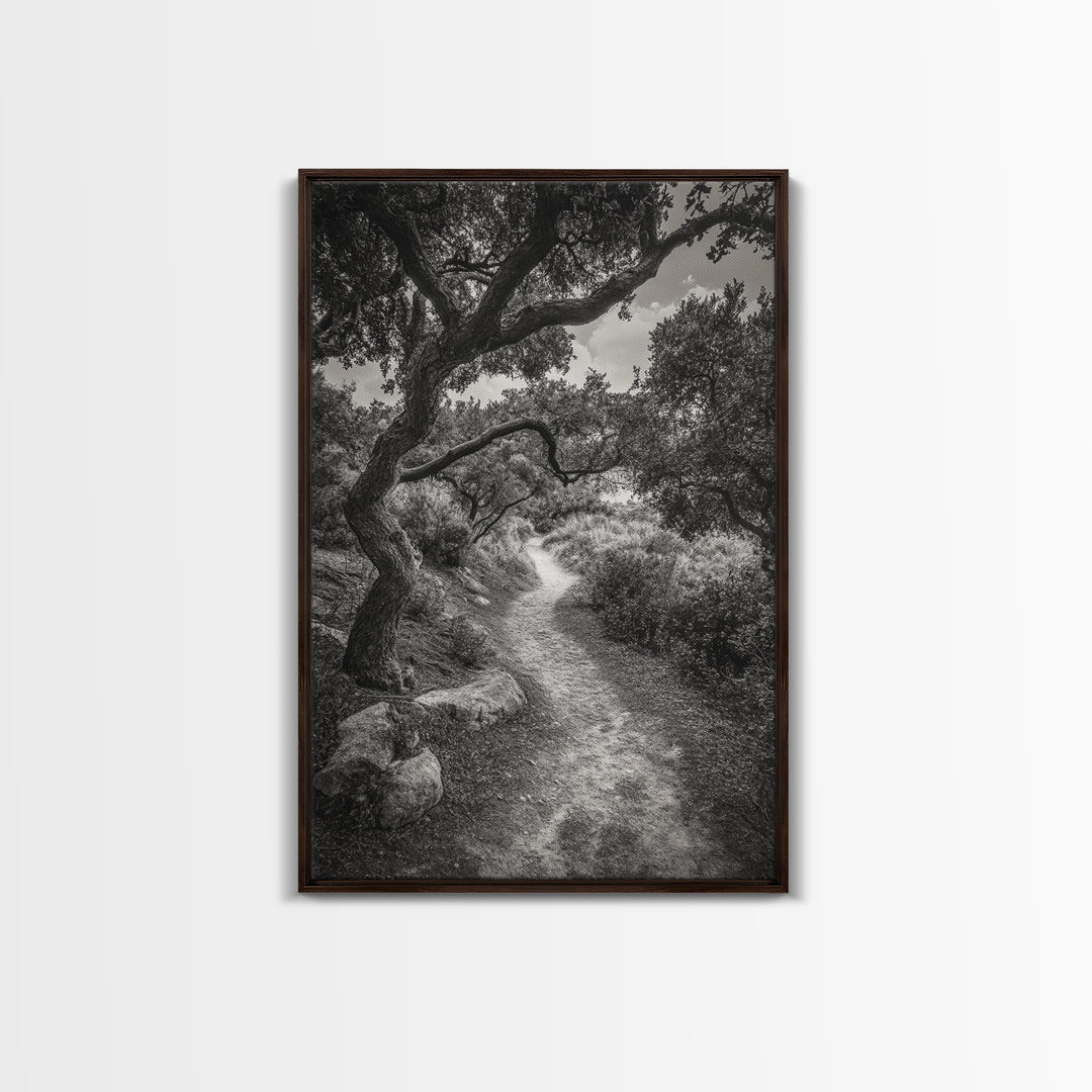 Forest Path, Twisting Trees, Nature Trail Scene, Framed Canvas Print, Earthy Wall Art, Boho Woodland Decor, Entryway or Hallway Accent