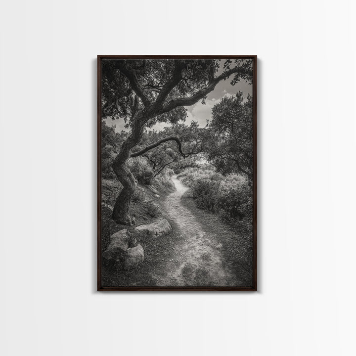 Forest Path, Twisting Trees, Nature Trail Scene, Framed Canvas Print, Earthy Wall Art, Boho Woodland Decor, Entryway or Hallway Accent