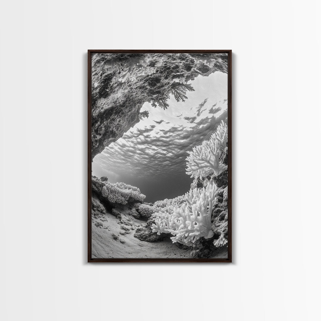 Coral Reef Underwater, Ocean Photography, Marine Nature Scene, Framed Canvas Print, Bathroom Wall Art, Coastal Minimalist Decor