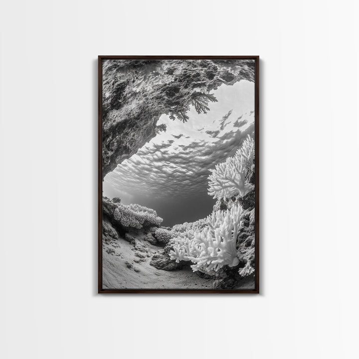 Coral Reef Underwater, Ocean Photography, Marine Nature Scene, Framed Canvas Print, Bathroom Wall Art, Coastal Minimalist Decor