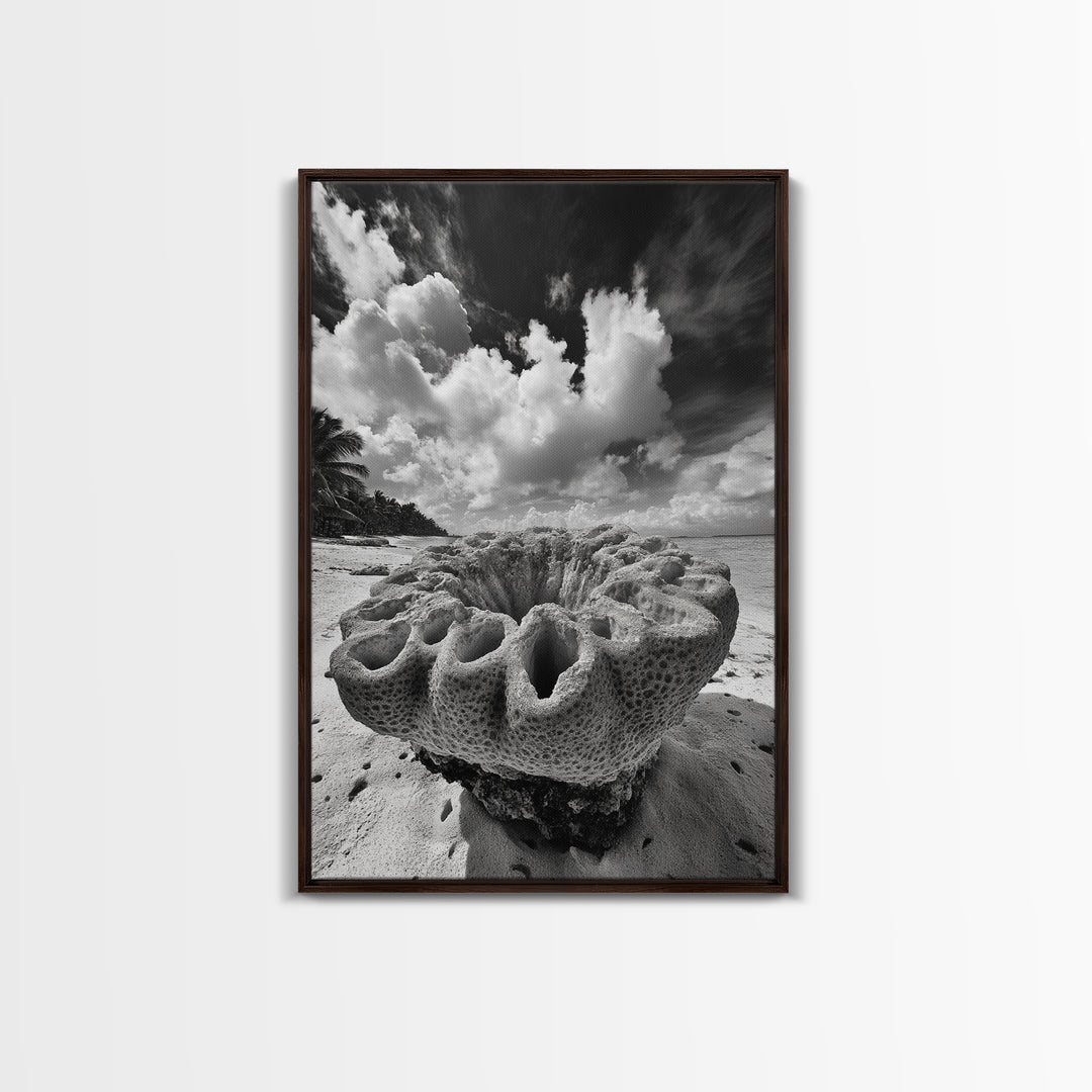 Coral Reef Texture, Ocean Wall Art, Coastal Minimalist, Nature Photography, Framed Canvas Print, Bathroom Wall Decor, Tropical Beach Print