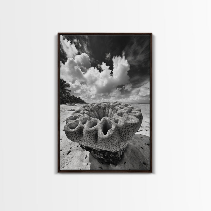 Coral Reef Texture, Ocean Wall Art, Coastal Minimalist, Nature Photography, Framed Canvas Print, Bathroom Wall Decor, Tropical Beach Print