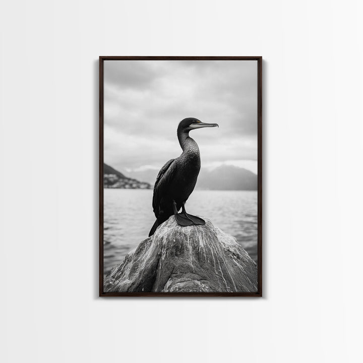 Coastal Bird Portrait, Nature Minimalism, Lake Decor, Monochrome Wildlife, Framed Canvas Print, Bedroom Wall Art, Bird Photography Print