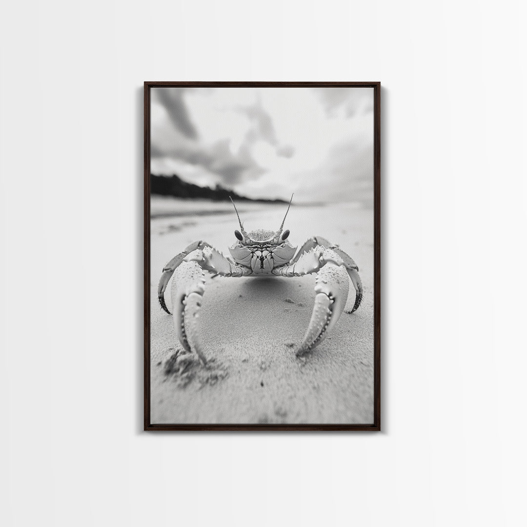 Beach Crab Portrait, Closeup Ocean Art, Tropical Minimalism, Coastal Creature Photo, Framed Canvas Print, Bathroom Wall Decor, Marine Decor