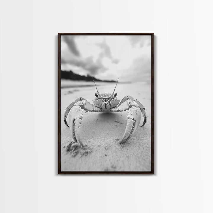 Beach Crab Portrait, Closeup Ocean Art, Tropical Minimalism, Coastal Creature Photo, Framed Canvas Print, Bathroom Wall Decor, Marine Decor