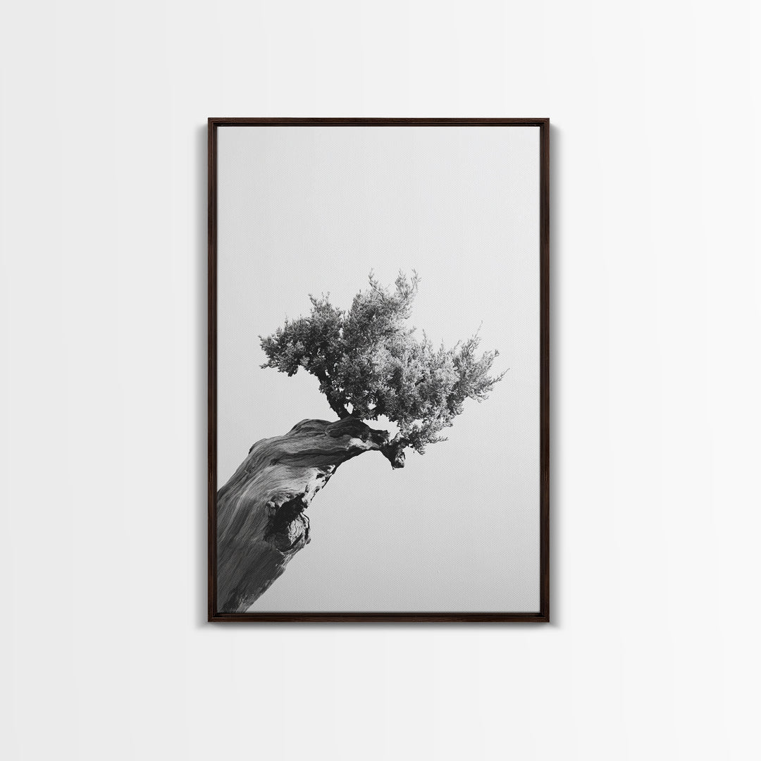 Bonsai Tree, Windswept Wood, Minimal Zen, Canvas Print, Japanese Style Art, Wabi Sabi Decor, Monochrome Botanical Wall Accent