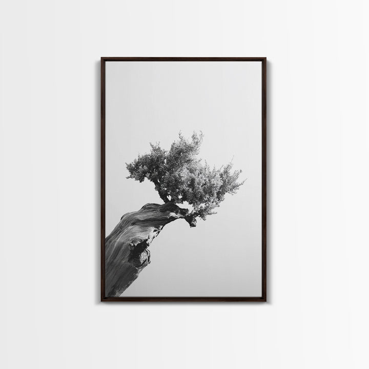 Bonsai Tree, Windswept Wood, Minimal Zen, Canvas Print, Japanese Style Art, Wabi Sabi Decor, Monochrome Botanical Wall Accent