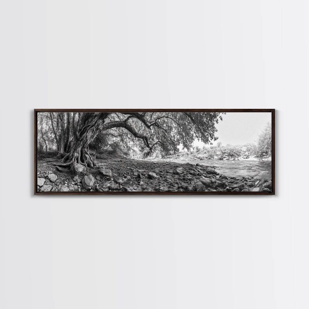 River Tree Roots, Tranquil Forest Landscape, Nature Wall Decor, Framed Canvas Print, Living Room Art, Black and White Earthy Style