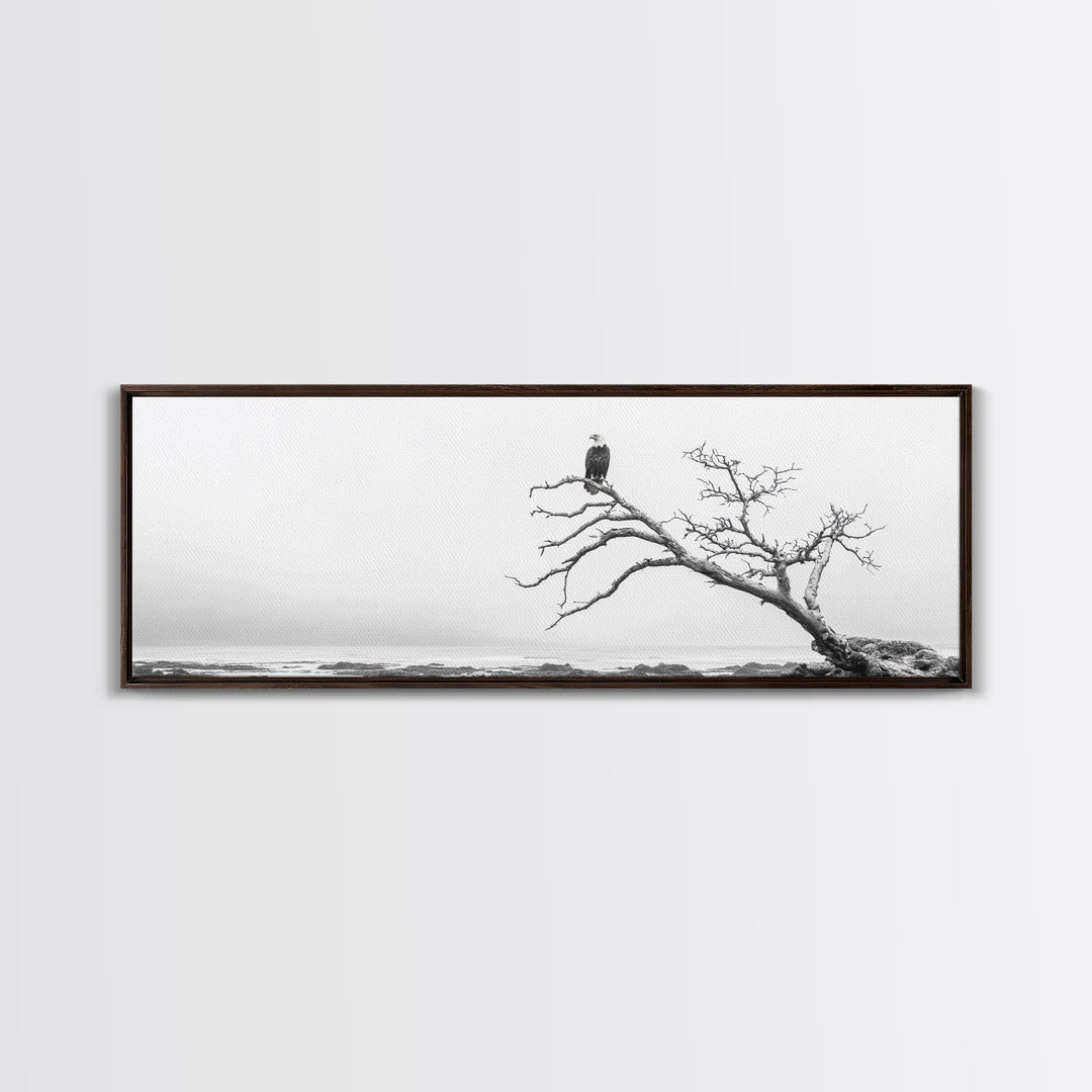 Bald Eagle, Tree Perch, Foggy Coast, Framed Canvas Print, Wildlife Photography, Cabin Wall Art, Rustic Minimalist Decor