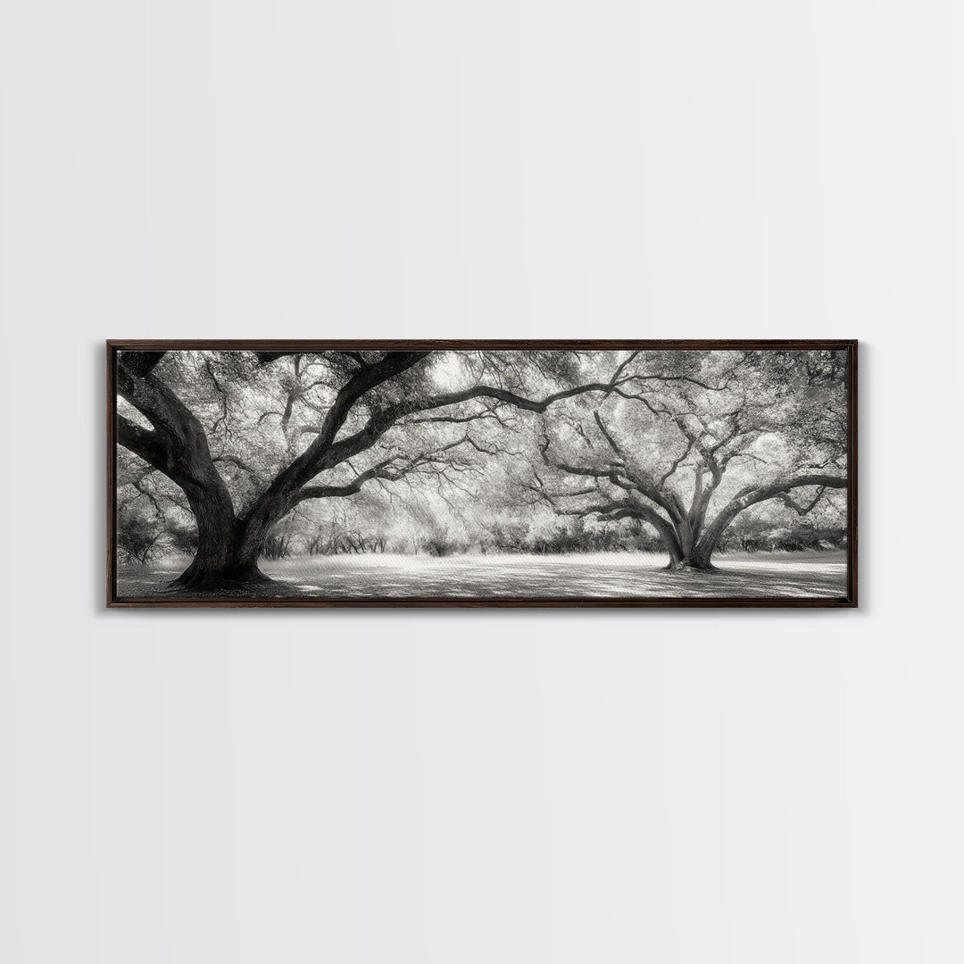 Sprawling Trees, Oak Forest, Sunlit Canopy, Majestic Branches, Canvas Print, Nature Wall Art, Boho Decor, Living Room Statement Piece